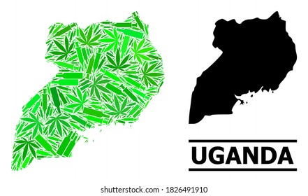 Mosaico de adicción y mapa usual de Uganda. El mapa vectorial de Uganda es creado con íconos de inoculación al azar, botellas de marihuana y bebida. Resumen del plan de territorio en colores verdes para el mapa de Uganda.