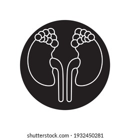 Addison disease black glyph icon.Pictogram for web page, mobile app, promo.
