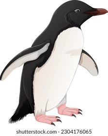Adelie Penguin on White Background illustration