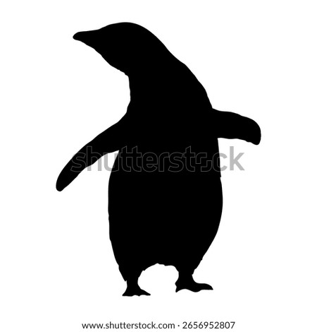 Adelie penguin silhouette. Realistic vector animal