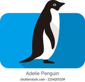 Adelie penguin standing, Penguin series  vector illustration