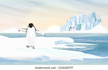 Adelie Penguin walks along the ocean. Birds of the South Poles. Realistic vector landscape