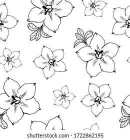 Adenium home flower seamless pattern. Black outline drawing with white fill on a white background. Vector illustration for design, textile, directory, announcements, postcards, manual.