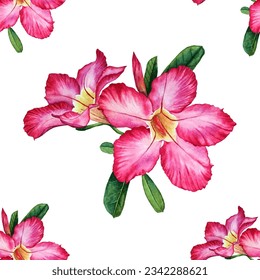 Adenium Obesum pink tropical flowers and green leaves seamless pattern on white background. Desert rose blooming. Adenium Obesum flowers illustration in watercolor style, tropical exotic sabi blossom 