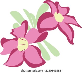 adenium pink flower icon illustration full color flower with leaf can be card ornamental