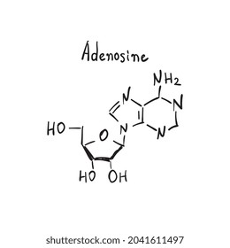 Adenosin molecule formula. Hand drawn imitation structural model, chemistry skeletal formula, adenosin sketchy vector symbol
