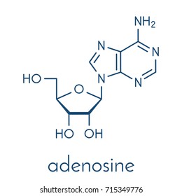 Adenosine (Ado) purine nucleoside molecule. Important component of ATP, ADP, cAMP and RNA. Also used as drug. Skeletal formula.