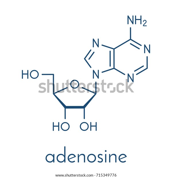 Adenosine Ado Purine Nucleoside Molecule Important 库存矢量图 免