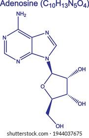 Adenosine molecule nucleoside structural chemical formula