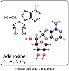 Adenosine Molecule Structure