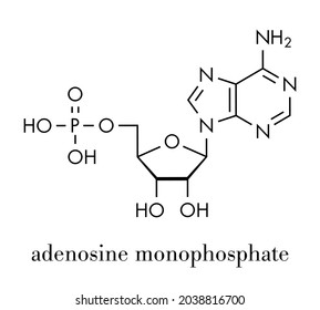 452 Adenosine Stock Vectors, Images & Vector Art | Shutterstock