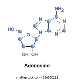 Adenosine is a purine nucleoside composed of a molecule of adenine attached to a ribose. It plays a role in biochemical processes, such as energy transfer as well as in signal transduction cAMP.