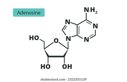 Adenosine purine nucleoside molecule. Skeletal formula. ATP, ADP, cAMP and RNA. (C10H13N5O4). (Ado) Vector