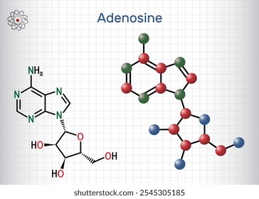 Adenosine ribonucleoside molecule. Chemical structure, molecule model of nucleoside. Sheet of paper in a cage. Vector illustration