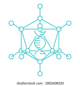 Adenovirus Adenoviridae icon in thin line - artificial virus with icosahedral nucleocapsid containing a double stranded DNA genome. Nanoparticle with DNA inside. Vector illustration