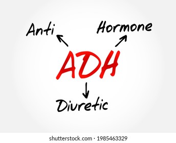 ADH - Acrónimo de hormona antidiurética, fondo conceptual