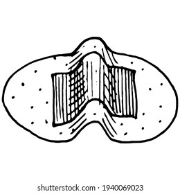 Adhesive or masking tape isolated. 