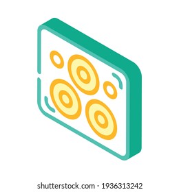 adhesive plasters isometric icon vector. adhesive plasters sign. isolated symbol illustration