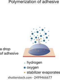 Adhesive Polymerization. Illustration for eyelash extension course. Drop of adhesive.