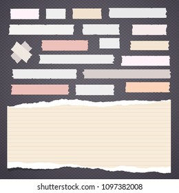 Adhesive, sticky tape with note notepaper on gray background. Vector illustration.
