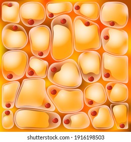 Adipocyte or fat cells. medical background of Adipose tissue. Vector Illustration