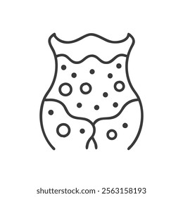 Adipose Tissue Anatomy Overview Design