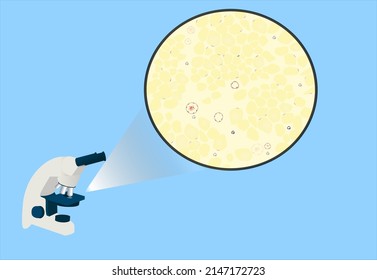 Adipose Tissue Under A Microscope, Histology, Flat Microscope, Icon, Graphic, Vector Illustration