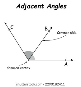 Adjacent angles in mathematics. Two angles with common vertex and side. Vector illustration isolated on white background.