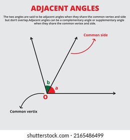 Adjacent angles or angles on the same or common vertex of mathematics with definition for students of school or college or university.Vector illustrations design.