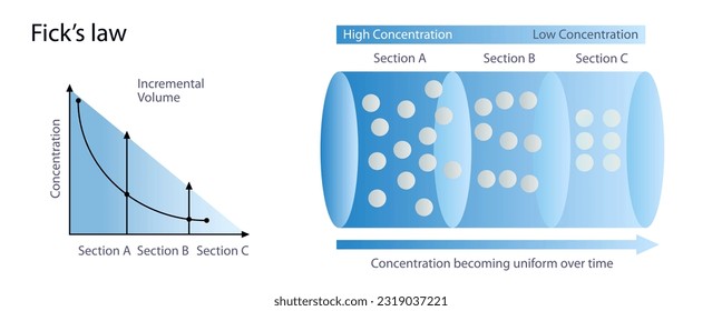 Las leyes de Adolf Fick sobre el proceso de difusión ilustran los vectores. Movimiento de moléculas. cambio de volumen. Niveles de concentración de mayor a menor. La física general estudia imágenes para estudiantes y profesores.