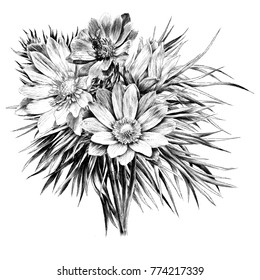  Adonis flower branch sprout petals a bright Sunny bouquet set wreath sketch vector graphics monochrome black-and-white drawing