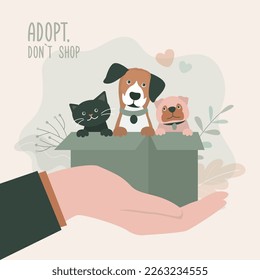 Adopt friend, don't shop - cute dogs and cat sitting in box. Pet adoptation. Animal care, adoption. Help homeless animals find home concept. Volunteer hand holds lonely pets waiting for an owner.