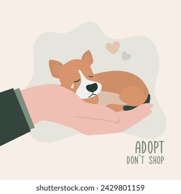 Adopt friend, don't shop - cute dog lying on human hand. Pet adoptation. Animal care, adoption. Help homeless animals find home concept. Volunteer hand holds lonely pet waiting for an owner. vector