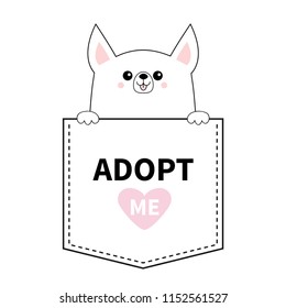 Adopt me. Chihuahua dog in the pocket. Holding paws. Pink heart. Cute cartoon animals. Puppy pooch character. Dash line. Pet animal collection. T-shirt design. Baby background. Flat design Vector