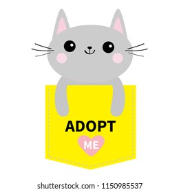 Adopt me. Dont buy. Cat in yellow pocket. Pet adoption. Kitten kitty. Pink heart. Flat design. Help homeless animal concept. White background. Isolated. Vector illustration