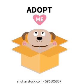 Adopt me. Dont buy. Cat inside opened cardboard package box. Ready for a hugging. Kitten looking up to red heart. Pet adoption. Flat design. Help animal concept. White background. Isolated. Vector