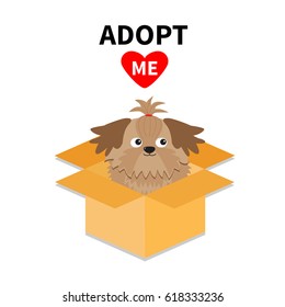 Adopt me. Dont buy. Shih Tzu Dog inside opened cardboard package box. Pet adoption. Puppy pooch red heart. Flat design. Help homeless animal concept. White background. Isolated. Vector