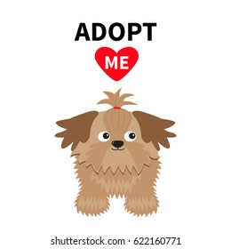 Adopt me. Dont buy. Shih Tzu Dog inside opened cardboard package box. Pet adoption. Puppy pooch red heart. Flat design. Help homeless animal concept. White background. Isolated. Vector