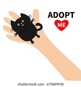 Adopt me. Hand arm holding black cat. Animal pet. Helping hands concept. Funny gift. Cute cartoon character. Close up body part. Flat design style. White background. Isolated. Vector illustration