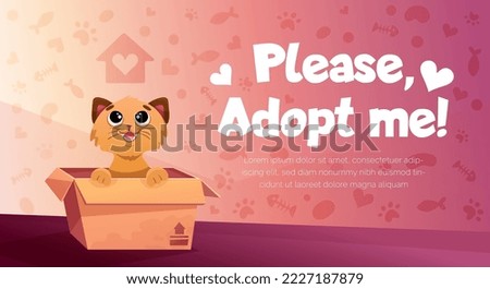 Adopt me poster with cute cat in cardboard box. Colorful vector banner template with cartoon illustration of funny kitten for adoption concept poster, social media post, shelter promotion
