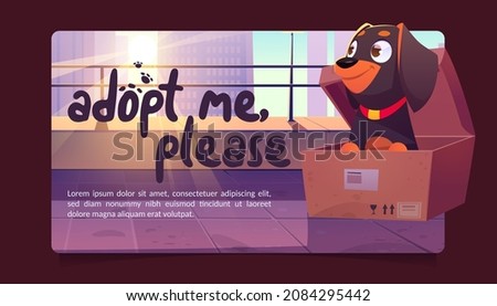 Adopt me poster with cute dog in cardboard box on city street. Concept of adoption homeless animals. Vector banner with cartoon illustration of funny puppy sitting in carton box