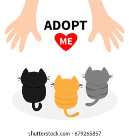 Adopt me. Three kittens looking up to human hand. Cute cartoon funny character. Animal hug. Helping hands concept. Red heart. Love card Flat design White background Isolated Vector illustration