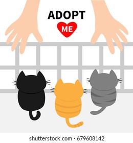 Adopt me. Three kittens looking up to human hand. Nursery cage aviary. Cute cartoon funny character. Animal hug. Helping hands concept. Red heart. Flat design White background Isolated Vector