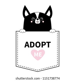 Adopt me.Black chihuahua dog in the pocket. Holding paws. Pink heart. Cute cartoon animals. Puppy pooch character. Dash line. Pet animal collection. T-shirt design. Baby background. Flat design Vector