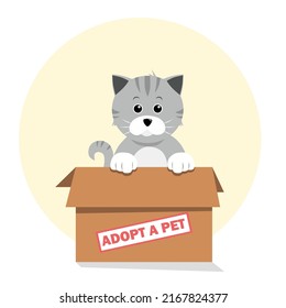 Adopt a pet cat cute