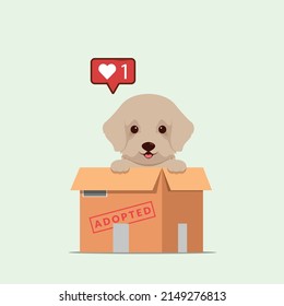 Adopt pet concept illustration. Dog rescue, protection, adoption concept. Flyer, poster template.Cute cockapoo puppy in a box.