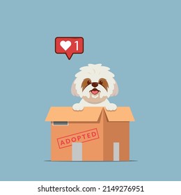 Adopt pet concept illustration. Dog rescue, protection, adoption concept. Flyer, poster template.Cute shih tzu puppy in a box. svg