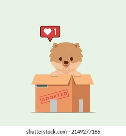Adopt pet concept illustration. Dog rescue, protection, adoption concept. Flyer, poster template.Cute pomeranian puppy in a box.