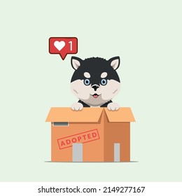 Adopt pet concept illustration. Dog rescue, protection, adoption concept. Flyer, poster template.Cute siberian husky puppy in a box.