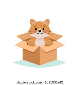 Adopt a pet - cute cat in a box, isolated on white background